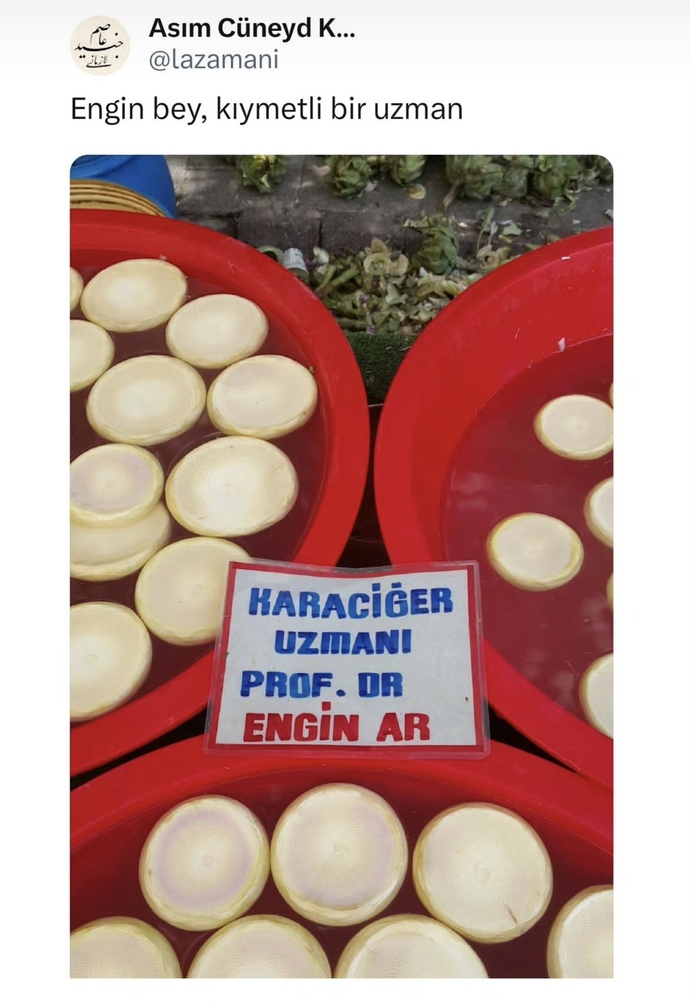 Enginar yemeyi seviyor musunuz?
