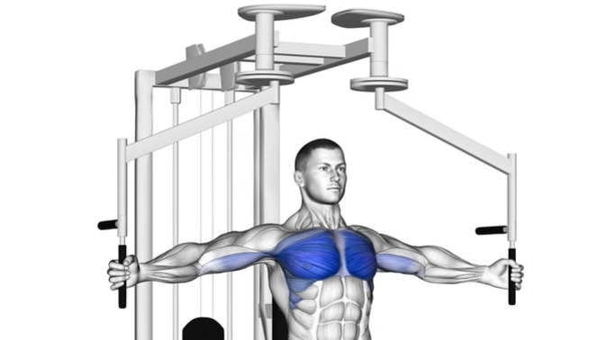 Machine Chest Fly Yaparken Göğsümün çalıştığını hissetmiyorum sanki kol hareketi yapıyormuşum gibi oluyor neden?