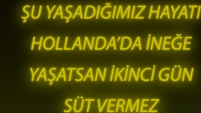 Yaşadığınız hayattan memnunmusunuz?