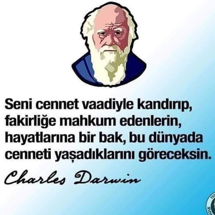 Cennette erkeklere 40 huri verileceği doğru mu?