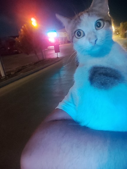 En son ne taşıdınız?