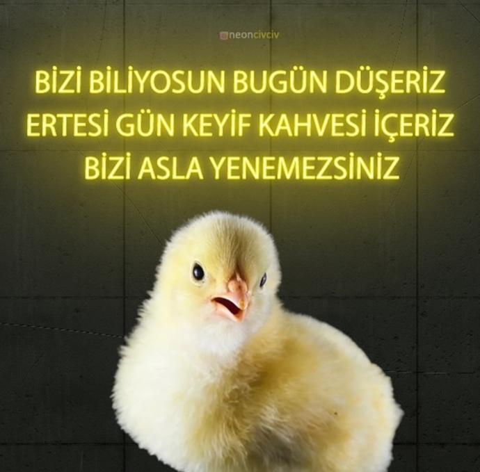 Kime ne söylemek istersiniz?