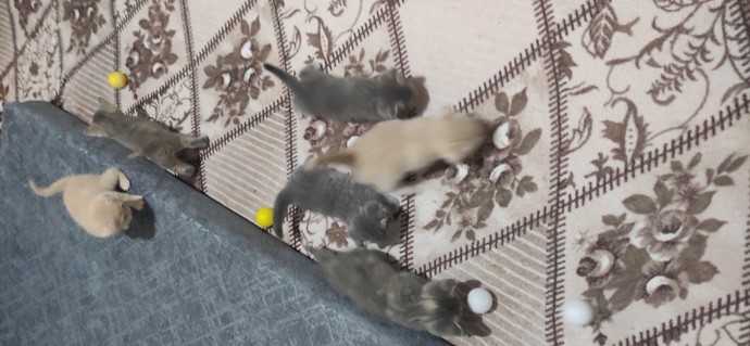 Bakmaya doyamadığınız biri/ birileri var mı?