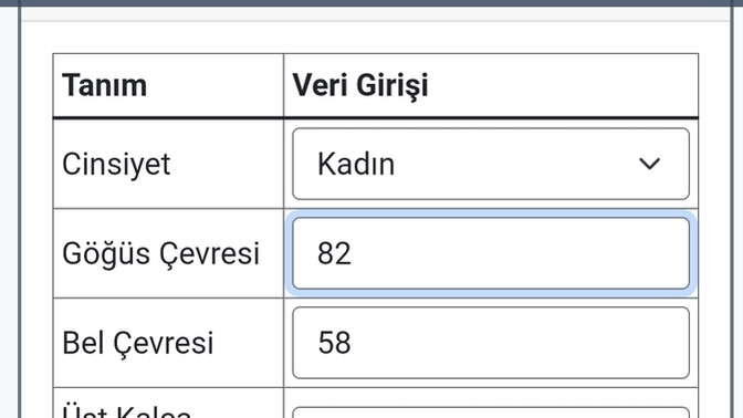 Sizce kilo alsam daha iyi olur mu?