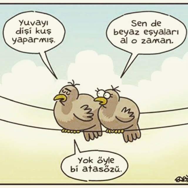 Yuvayı dişi kuş yapar diyoruz ama evlilik maliyetinin çoğunluğu erkeğe kalıyor. Nasıl olacak?