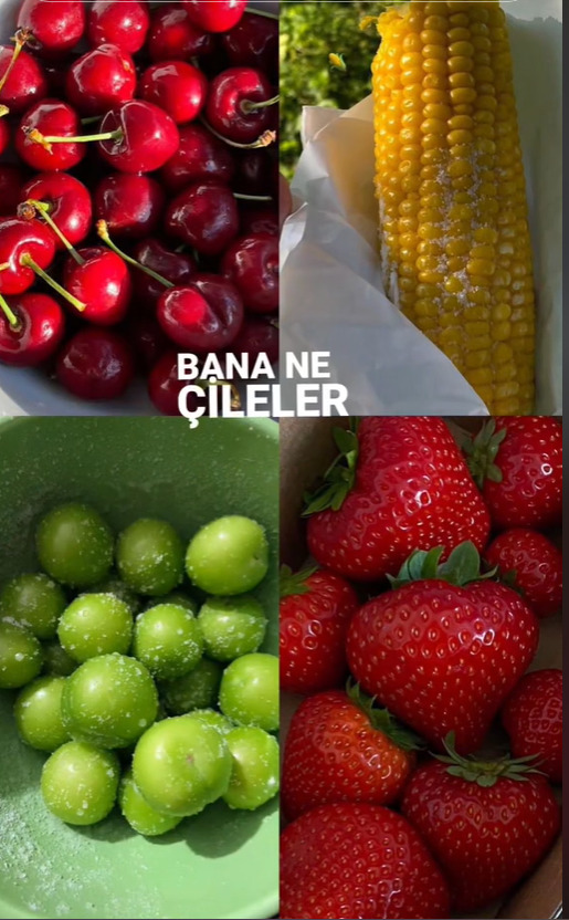 Hangi menü teklerr?