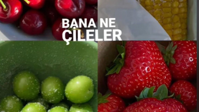 Hangi menü teklerr?