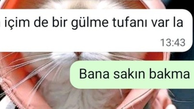 Ciddi ortamlara ayak uydurabiliyor musunuz?
