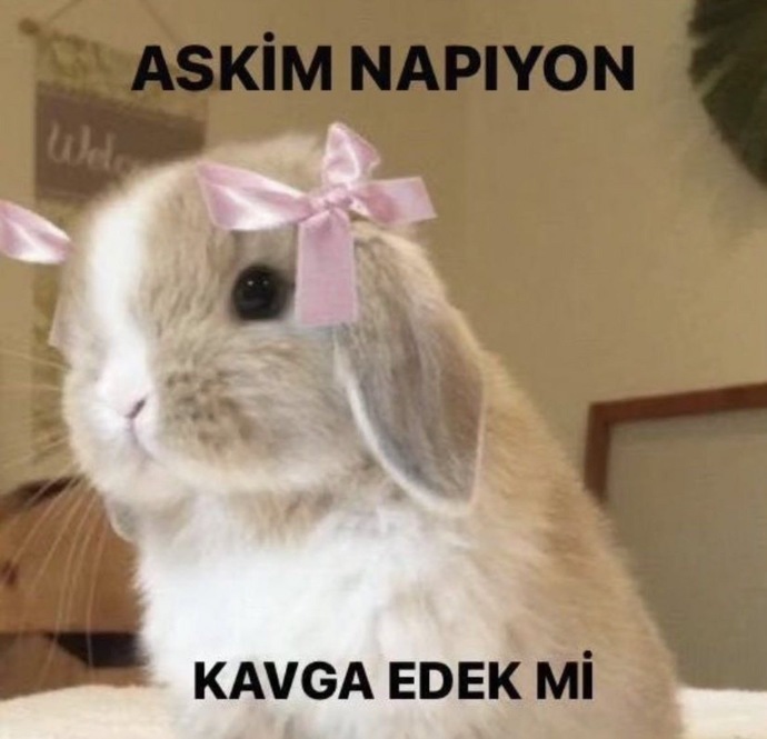 Sevgilinize durduk yere kavga çıkartır mısınız?