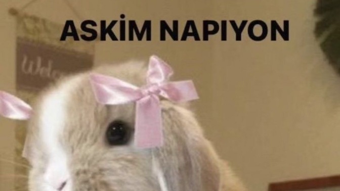 Sevgilinize durduk yere kavga çıkartır mısınız?