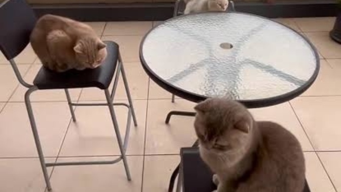 Bu saatte en yakın arkadaşınız okeye 4’üncü lazım diye arasa ne dersiniz?