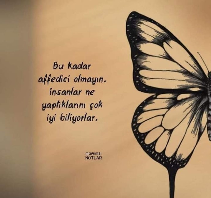 NE kadar affedicisiniz?
