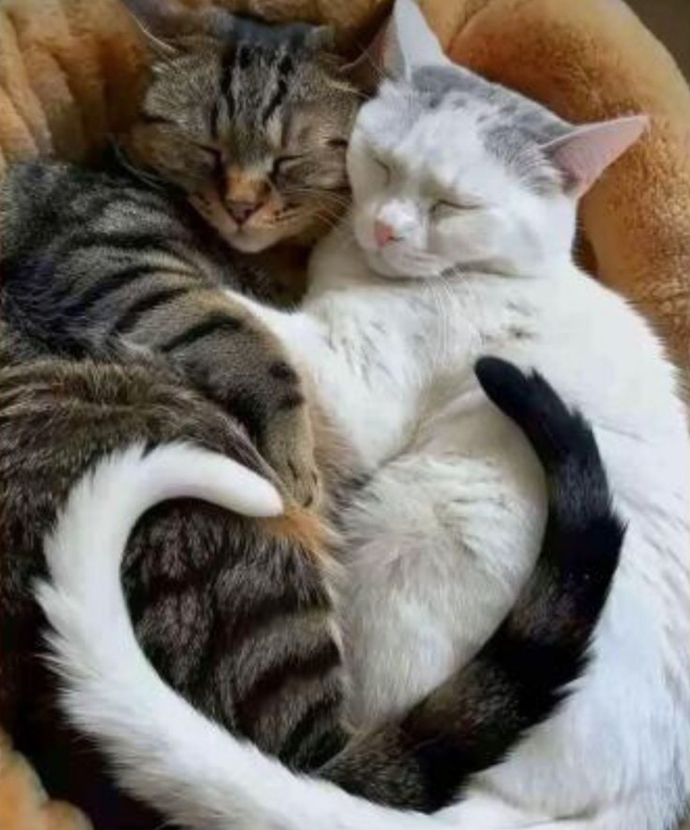 ♥️