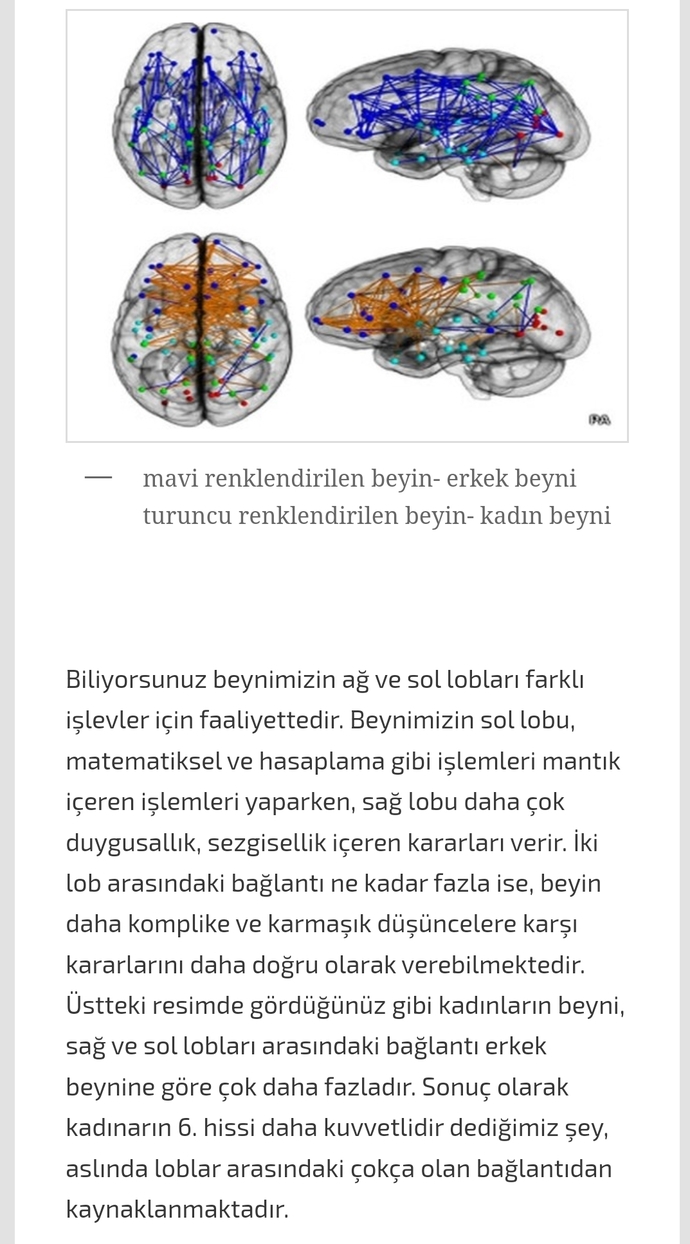 Anaerkil bir toplum düzeni olsaydı kadın ve erkek ilişkisi nasıl olurdu?