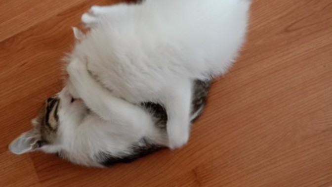 Bunları ne yapmalıyım?