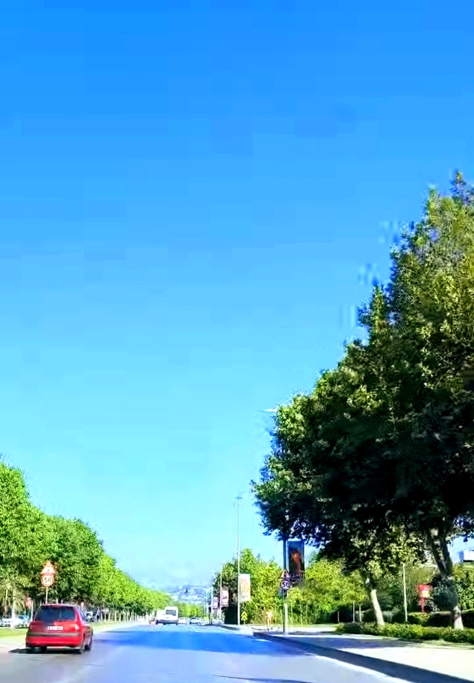 Yolculuk orman manzaralı mı, deniz manzaralı mı daha keyiflidir?