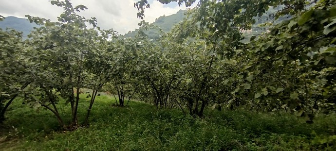Denizde yüzmeyi seviyor musunuz?