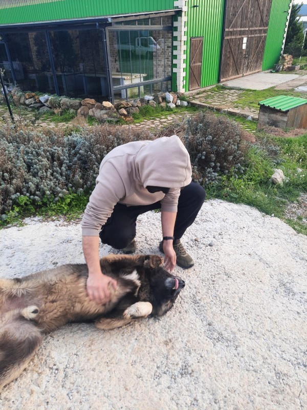 Yarın öğlene çaya gelin 🤭🤭valla hiç bi behane istemem anahtar paspasın altında🤭🤭kimler gelecek🤗🤗?