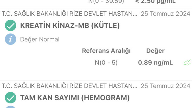 Arkadaşlar dün gece sol kol damarlarım ağrıyordu hastaneye gittim ekg temiz kan tahlili temiz dedi ama hala damarlarım ağrıyor?