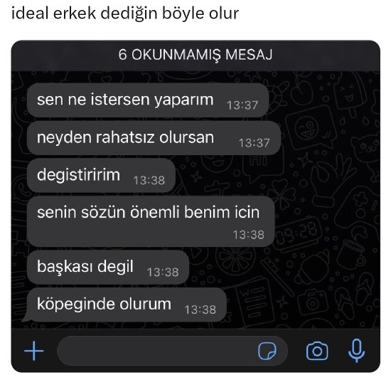 İdeal erkek böyle mi olur?