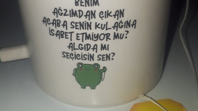 Sizi hiçbir zaman anlamayan insanlara ne söylemek isterdiniz?