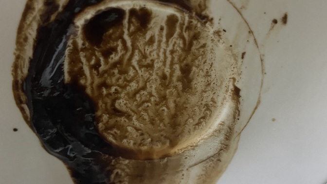 Falıma bakar mısınız?