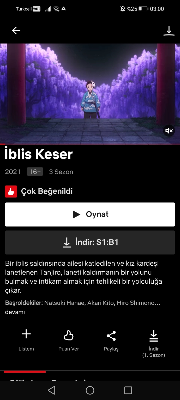 Aga benim netflix niye bozuk?