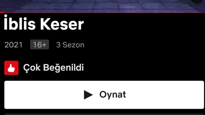 Aga benim netflix niye bozuk?