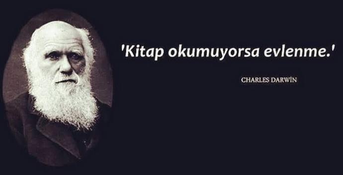 Kitap okumayı seven ev kızı, ev hanımı var mı?