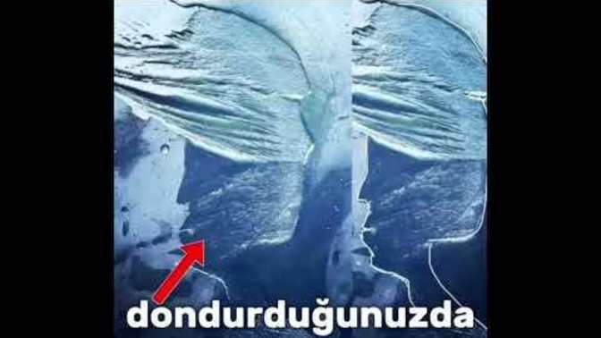 Suyun hafızası ve kendine ait bir bilinci var mıdır?