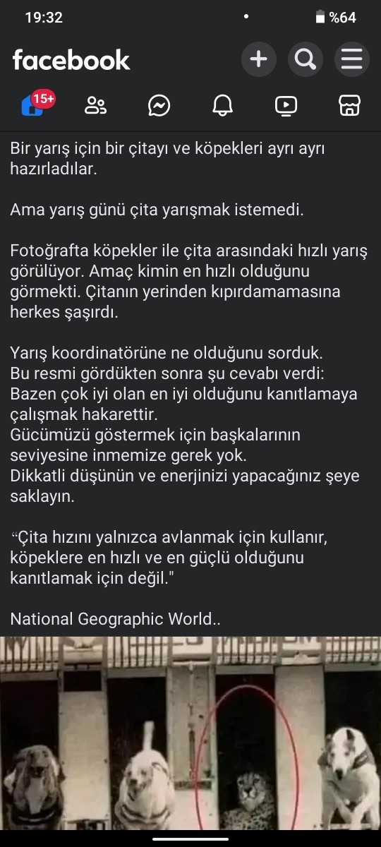 Kendini ispatlamak zorunda mısın?