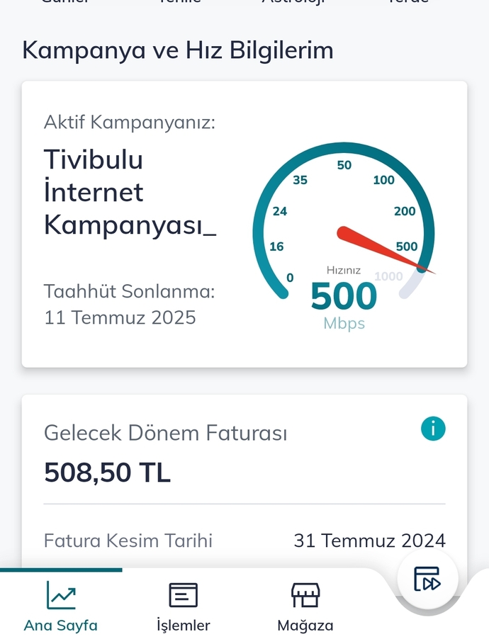 Evde İnternet hizmetine aylık ne kadar ödüyorsunuz?