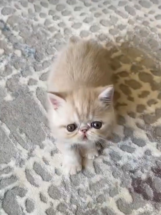 Benim prensesim nasıl sizce💖😻?