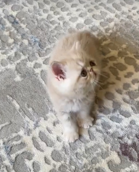 Benim prensesim nasıl sizce💖😻?