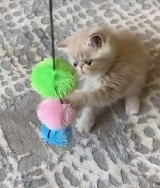 Benim prensesim nasıl sizce💖😻?