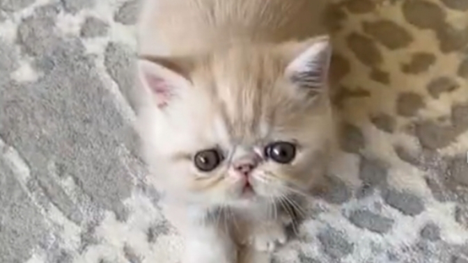 Benim prensesim nasıl sizce💖😻?