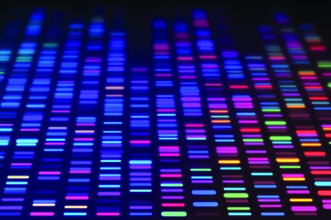 İleride doğacak çocuğunuza genetik tarama yaptırmayı düşünür müsünüz?