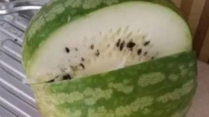 Yarım saat bakışıp,40 şaplak attığım karpuz?
