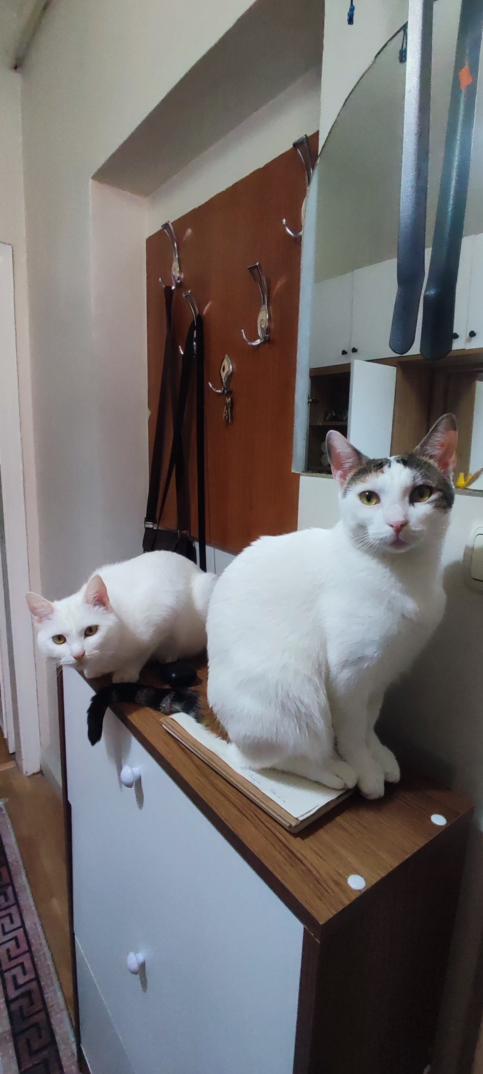 Günaydın kızlarım babalarını bekliyor?