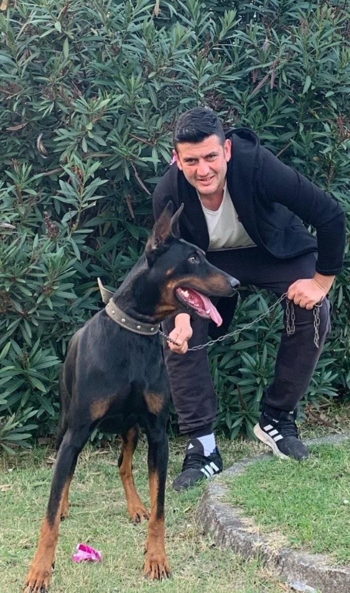 Köpeklerimle nasıl fotoğraf çekilebilirim?