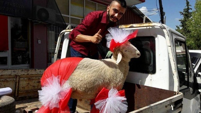 Yaz aşkınız var mı?