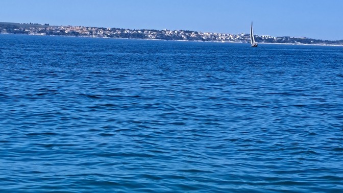 Deniz mi yoksa orman mi daha huzur verici?