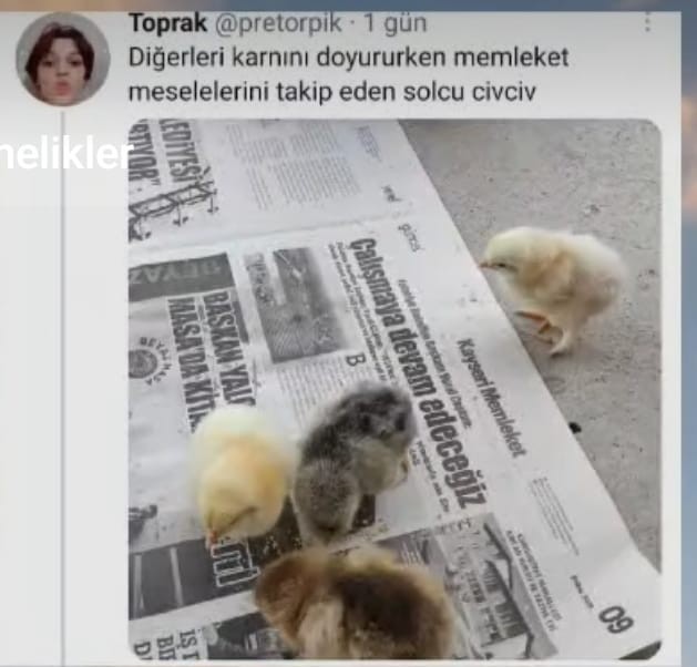 Siz de toplumda diğer insanlardan farklı mısınız?