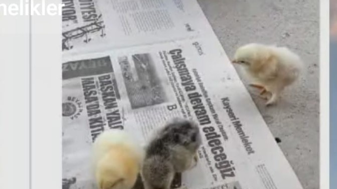 Siz de toplumda diğer insanlardan farklı mısınız?