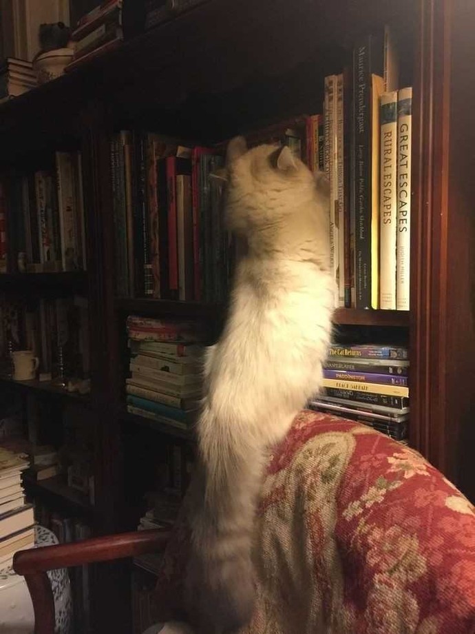Kitap okumak mı daha keyifli, film izlemek mi?
