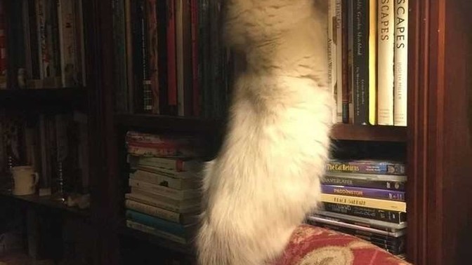 Kitap okumak mı daha keyifli, film izlemek mi?