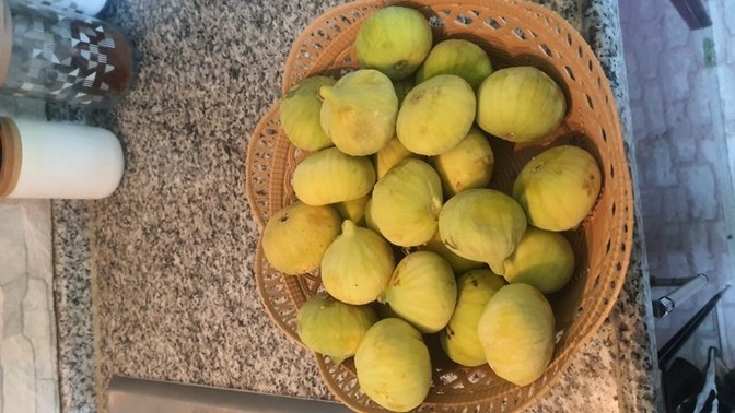 Bölgenizde incir yetişiyormu, incir severmisiniz?