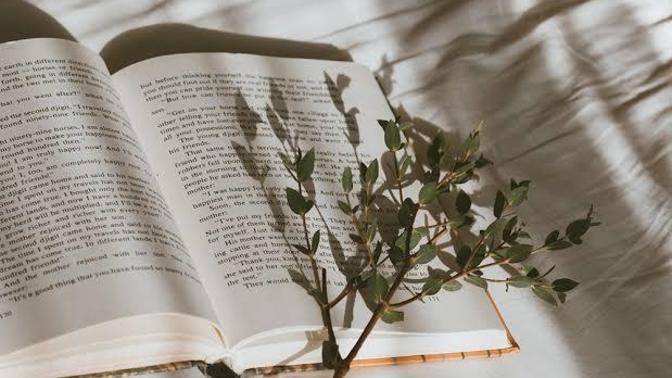 Kitap okumayı artık gereksiz bulan var mı?