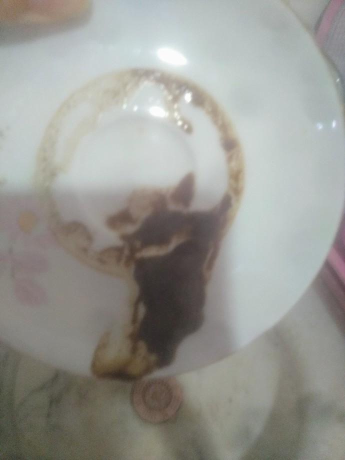KAHVE FALIMA BAKAR MISINIZ?