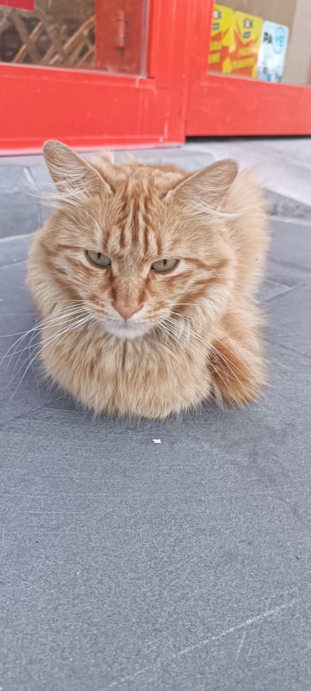 Benim yakışıklıma bakar mısınız?